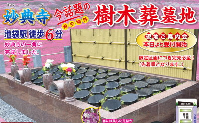 妙典寺 3霊区画